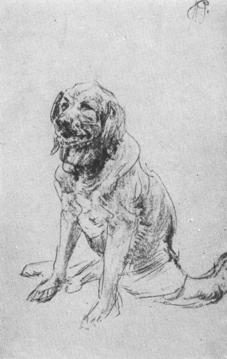 Собака. 1890-е гг.