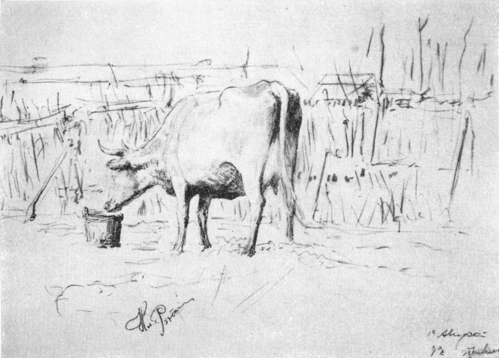 Корова. 1892