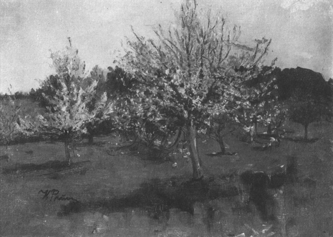 Цветущие яблони. 1893