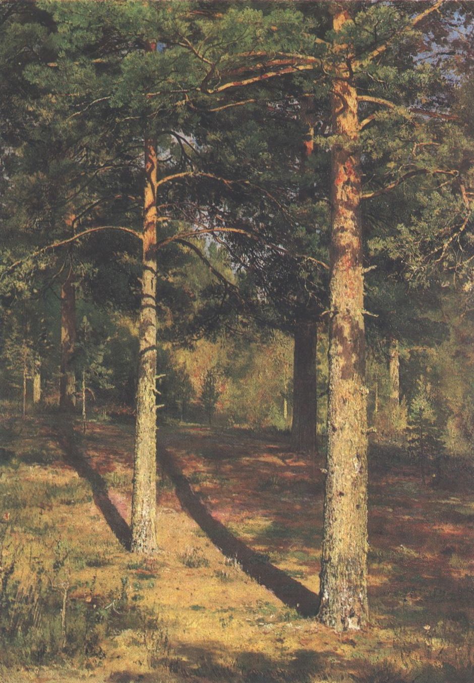 249. Шишкин И.И. Сосны, освещенные солнцем. 1886